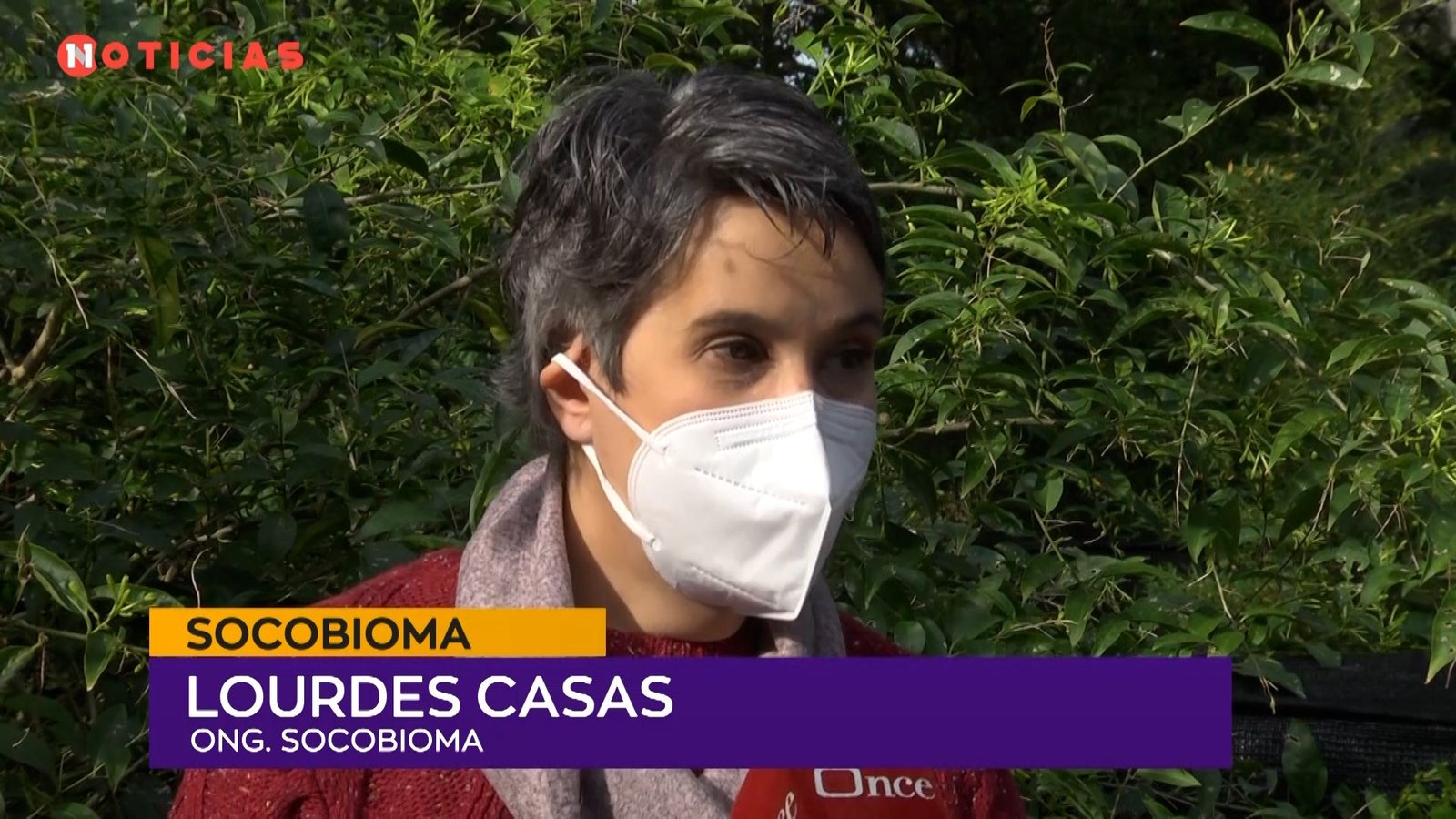Lourdes Casas Ong. Socobioma Buscan soluciones para el realojo de la