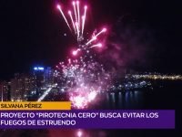 Dip. Pèrez Bonavita Pirotecnia