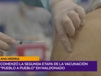 Ana Medina.00_01_52_10.Imagen fija001