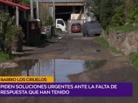 Vecino Ciruelos.00_01_56_01.Imagen fija001