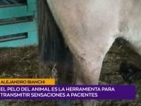 Alejandro Bianchi.00_01_15_01.Imagen fija001