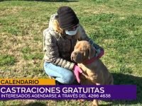 Calendario castraciones.00_00_47_18.Imagen fija001