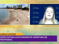 Captura de Pantalla 2021-08-20 a la(s) 18.38.46