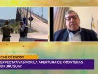 Carlos Enciso.00_01_20_15.Imagen fija001