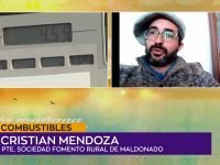 Cristian Mendoza .00_00_19_20.Imagen fija001