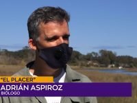 Adrián Aspiroz.00_00_20_02.Imagen fija001