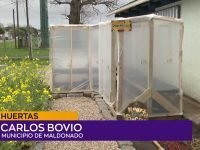 Carlos Bovio .00_01_34_09.Imagen fija001