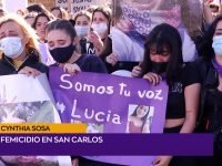 Cynthia Sosa.00_02_30_05.Imagen fija001