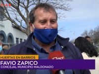 Favio Zapico.00_00_14_14.Imagen fija001