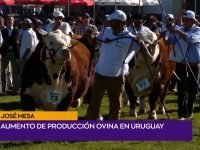 José Mesa .00_01_32_03.Imagen fija001