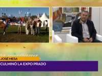 José Mesa Expo Prado.00_00_43_12.Imagen fija001