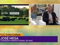 José Mesa TLC.00_01_21_05.Imagen fija001