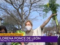 Lorena Ponce de León planta.00_01_28_08.Imagen fija001