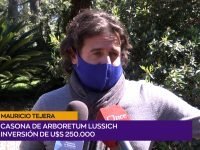 Mauricio Tejera.00_00_37_18.Imagen fija001