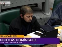 Nicolás Domínguez.00_00_08_10.Imagen fija001