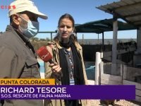 Richard Tesore.00_00_13_02.Imagen fija001