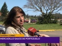 Sandra Corbo.00_02_06_02.Imagen fija001