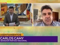 Carlos Camy .00_00_15_20.Imagen fija001