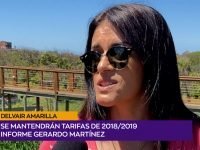 Delvair Amarilla .00_00_55_00.Imagen fija001