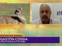 Gastón Cossia.00_00_13_09.Imagen fija001