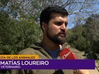 Matías Loureiro.00_00_06_22.Imagen fija001