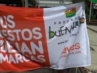 Mercedes Velázquez.00_01_51_08.Imagen fija002