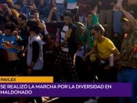 Pavlex.00_01_15_08.Imagen fija001