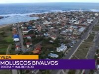 Veda sobre moluscos .00_00_06_13.Imagen fija001