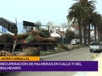 Javier Carballal.00_00_42_06.Imagen fija002