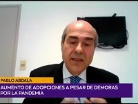 Pablo Abdala adopciones.00_00_22_05.Imagen fija001