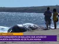 Betty Molina.00_00_35_22.Imagen fija001