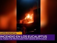 Incendio en los Eucaliptus.00_00_41_21.Imagen fija001