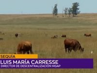 Luis María Carresse.00_00_57_04.Imagen fija001