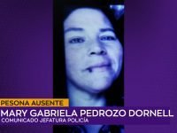 Pesona Ausente .00_00_25_19.Imagen fija001