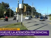 Telegestiones.00_00_54_16.Imagen fija001