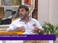Fernando Pereira.00_01_31_20.Imagen fija001