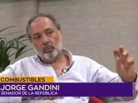 Jorge Gandini.00_01_26_20.Imagen fija001