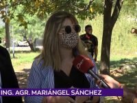 Mariángel Sánchez.00_00_58_20.Imagen fija001
