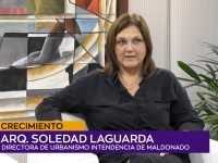 Soledad Laguarda Crecimiento.00_00_11_06.Imagen fija001