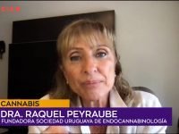 Dra. Raquel Peyraube.00_00_11_05.Imagen fija001