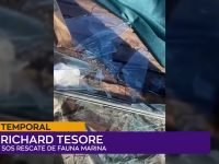 Richard Tesore.00_00_06_14.Imagen fija001