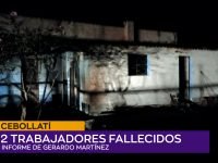 Crio. May. Alexis Duarte.00_00_39_17.Imagen fija001