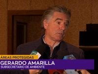 06 Gerardo Amarilla.00_01_40_17.Imagen fija001