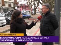 08 Carlos Pereyra.00_01_38_19.Imagen fija001