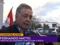 11 Fernando Matto.00_00_08_14.Imagen fija001