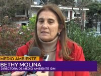 Bethy Molina.00_02_03_24.Imagen fija001