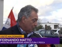 Fernando Matto.00_01_19_23.Imagen fija001