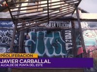 Javier Carballal.00_00_08_16.Imagen fija001