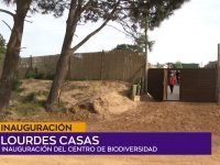 Lourdes Casas.00_00_06_10.Imagen fija001