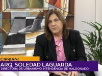 Soledad Laguarda.00_01_17_22.Imagen fija001